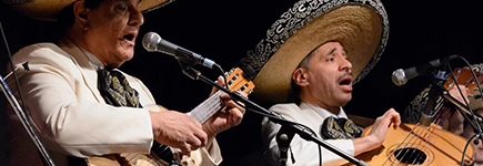 Viva Mexico Mariachi